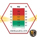 ASG ULTRAIR Airsoftgas High Power Red Gas Strong 178 PSI -570 ml – Bild 3