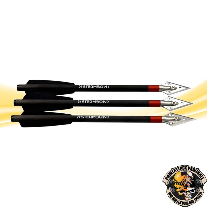 Carbonpfeile, leichte Jagdpfeile Steambow AR-Series – Bild 2